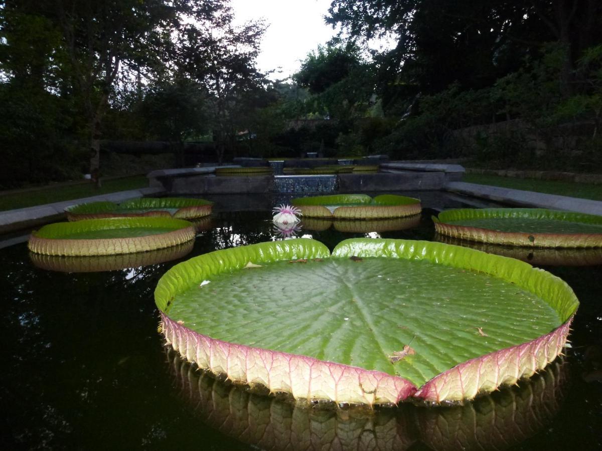 Casa Da Tia Luisa Villa Furnas  Kültér fotó