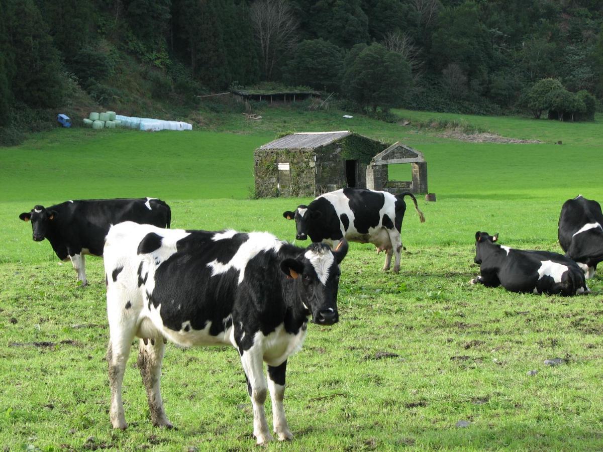 Casa Da Tia Luisa Villa Furnas  Kültér fotó